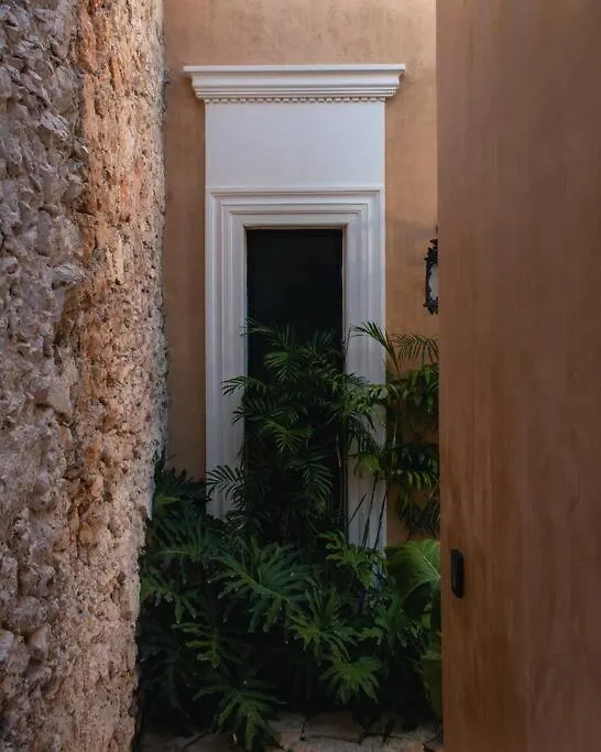 Casa Clementina Luxe Rustic Haven 5 Star Location Villa Merida